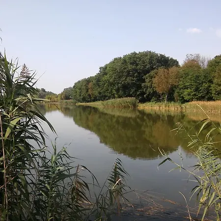 Gasthuis Platan Vendeghaz