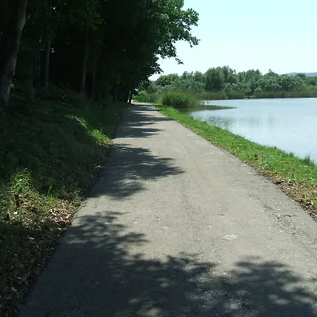 Platan Vendeghaz Pécs